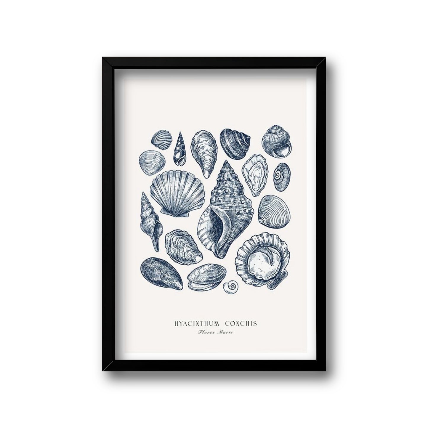 Blue fish wall art collection set