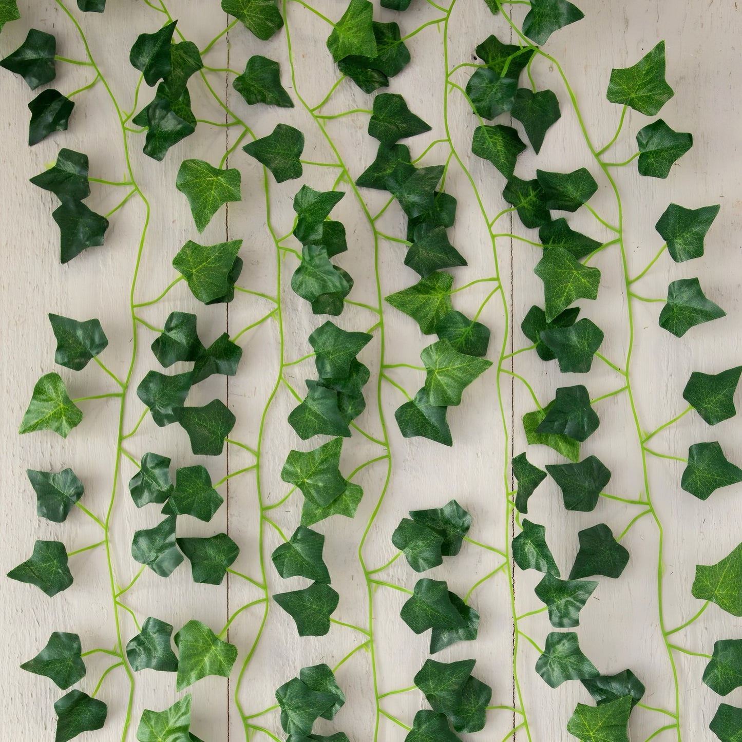 Tree Leaves