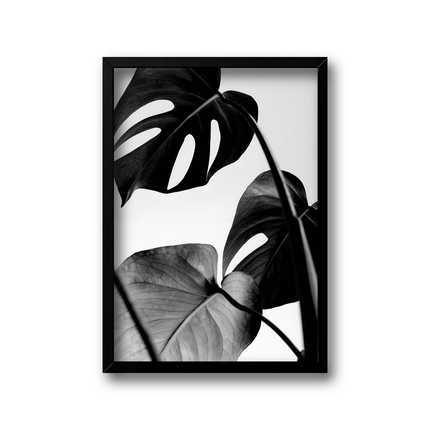 Calm corner collection set