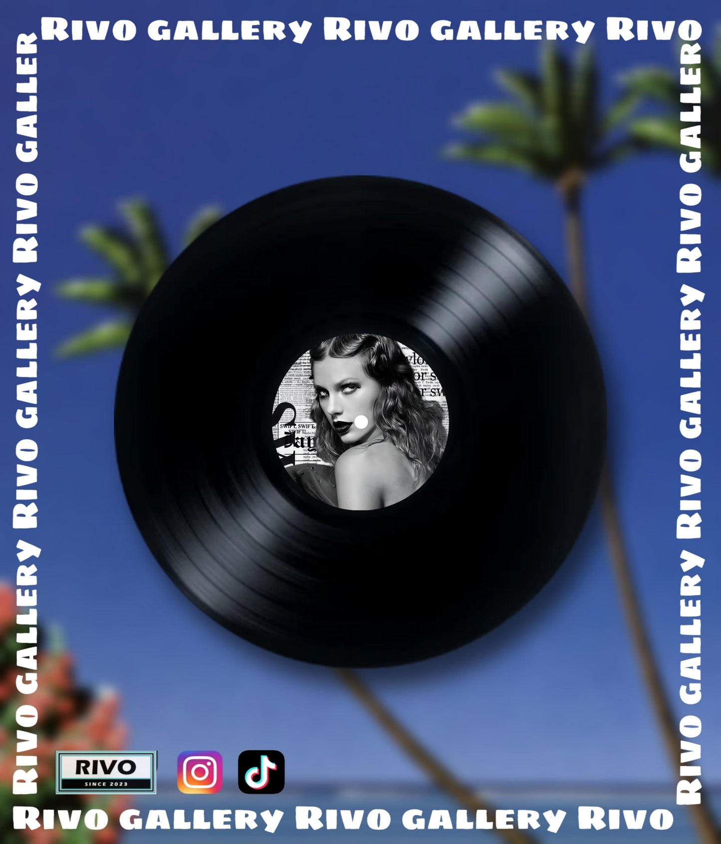 Taylor swift ( Reputation ) vinyl