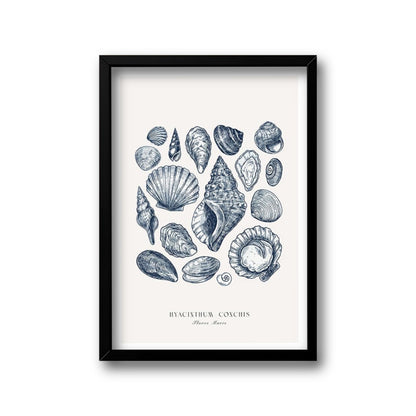 Blue fish wall art collection set