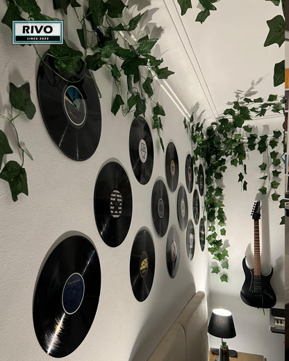 Rivo Vinyl Room