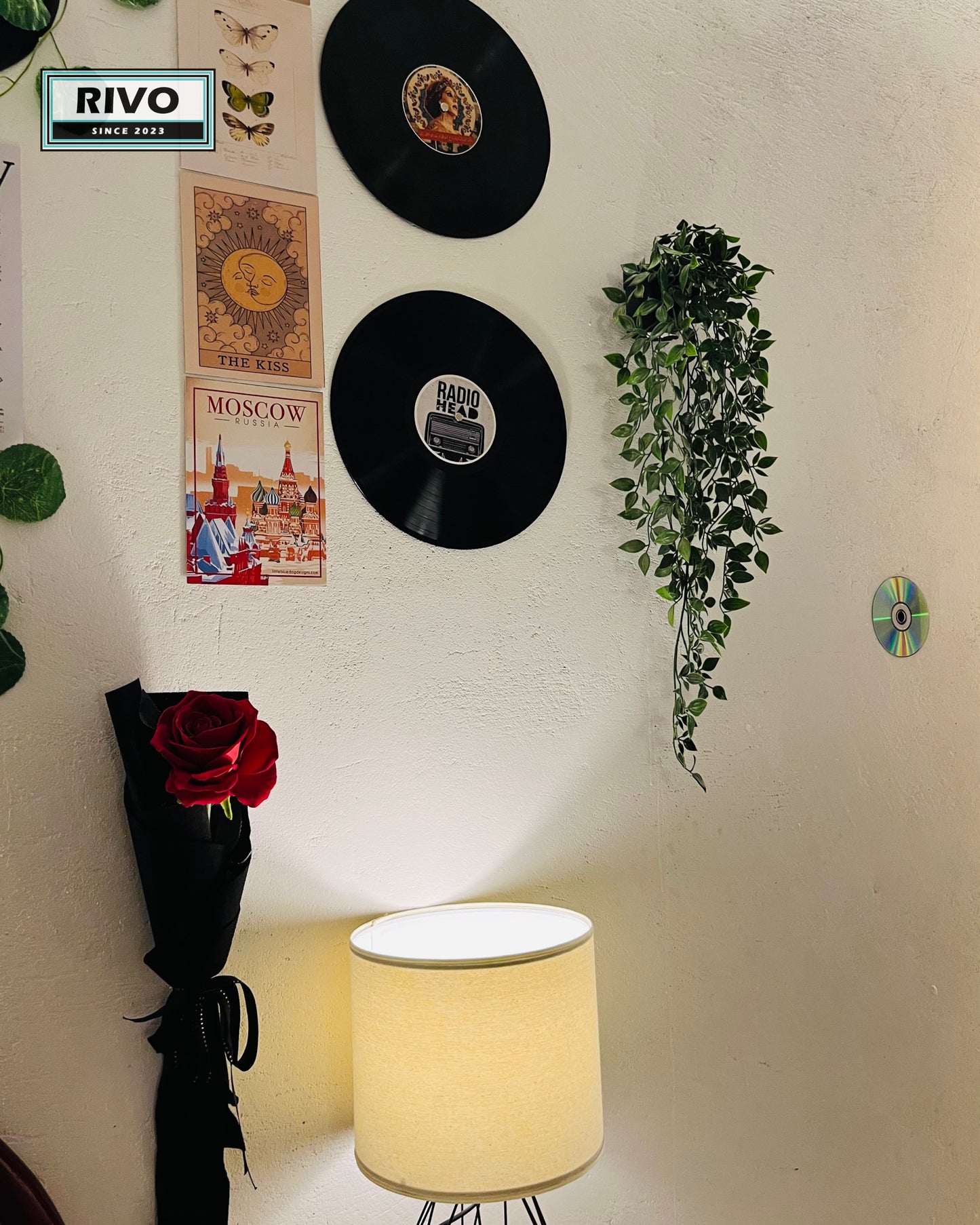 The Vinyl Garden