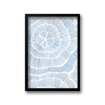 Matisse collection set
