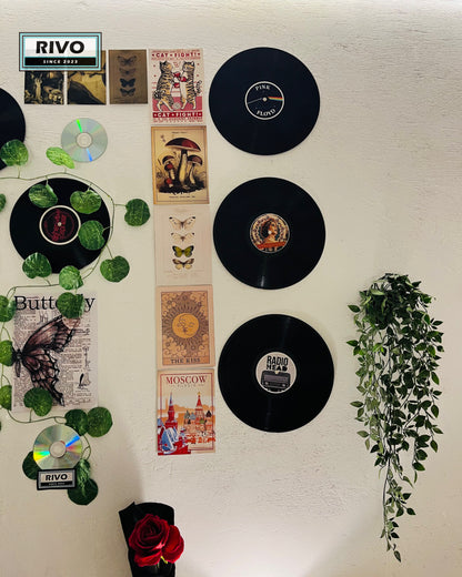 The Vinyl Garden