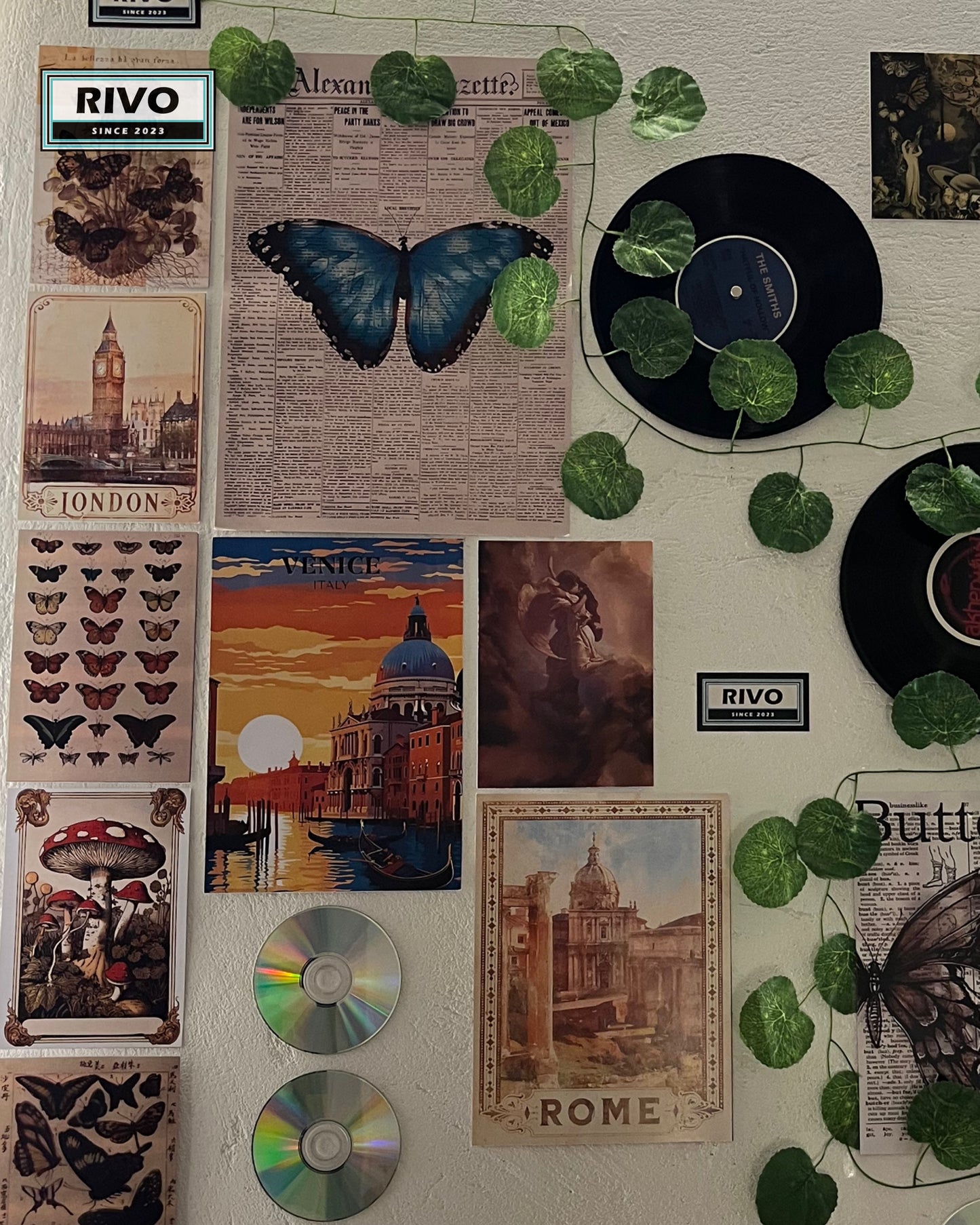 The Vinyl Garden