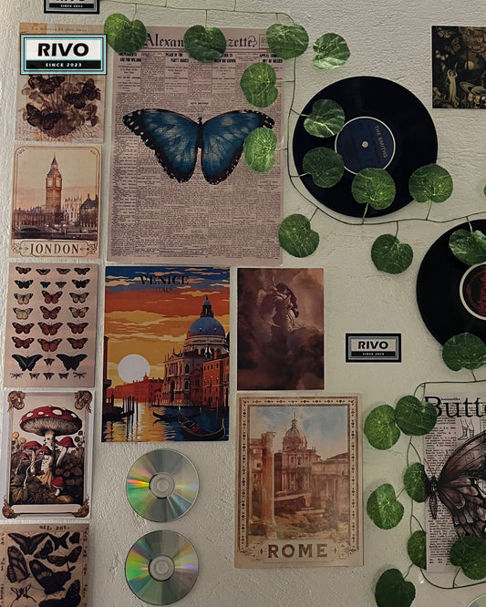 The Vinyl Garden